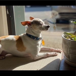 Meet your Posher, Crystal